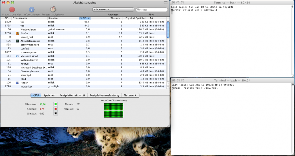 Auslastung unter OS X erzeugen, via Terminal