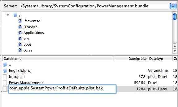 Umbenennen von com.Apple.SystemPowerProfileDefault.plist per SSH