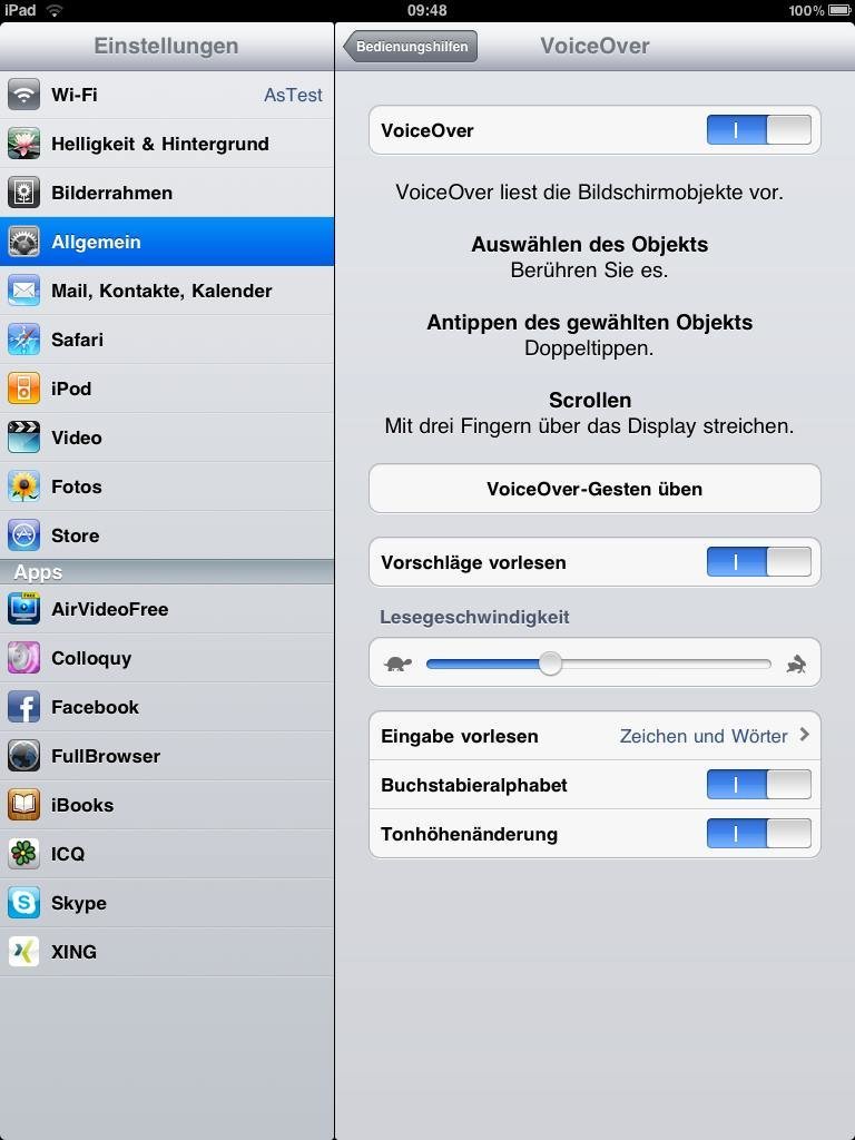 iPad-Einstellungen VoiceOver - Screenshot