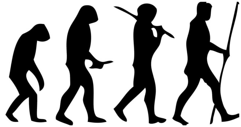 Menschliche Evolution
