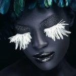 Lightroom 4, Photoshop Elements 11 und Premiere Elements 11 bei Adobes Black Friday günstiger