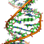DNA als Speichermedium: Wehret den Anfängen