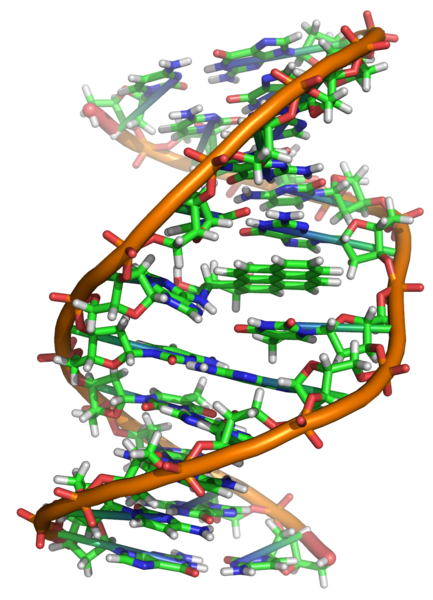 DNA als Speichermedium: Wehret den Anfängen