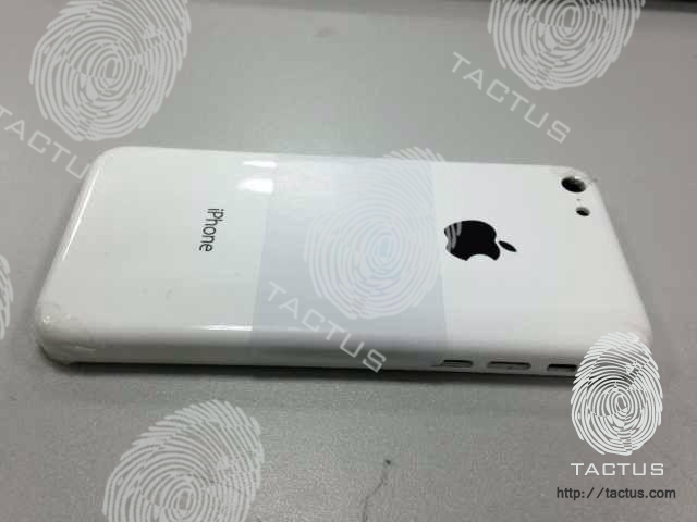 Rückseite des iPhone mini? Foto: Tactus Rückseite des iPhone mini? Foto: Tactus