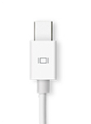 Mini DisplayPort