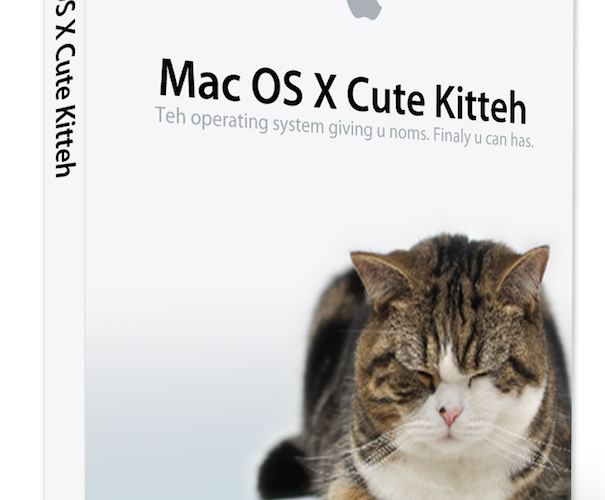 osx_cute_kitteh osx_cute_kitteh