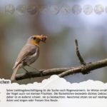 Vogelatlas für Kinder für iPhone und iPad