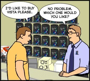 Which Vista?