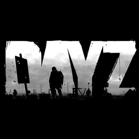 DayZ DayZ
