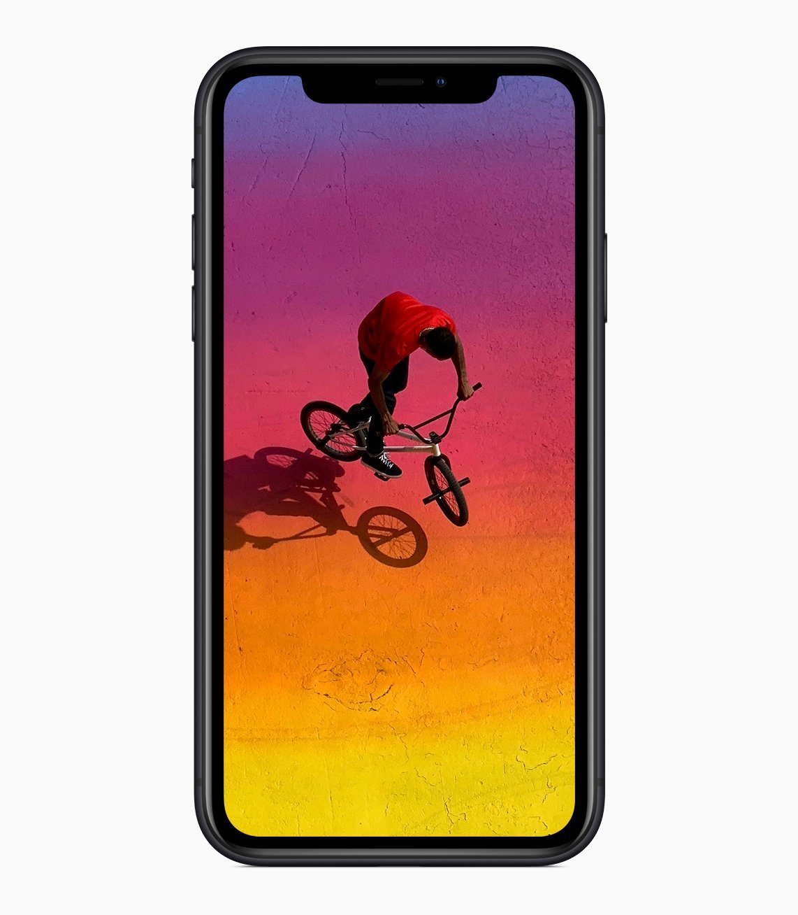 iPhone XR Display