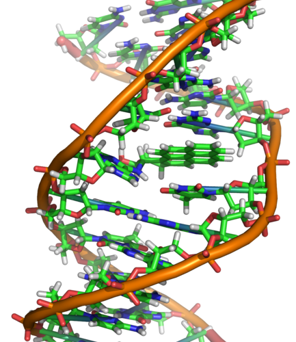 DNA: Abbildung von Zephrys (Richard Wheeler) DNA: Abbildung von Zephrys (Richard Wheeler)