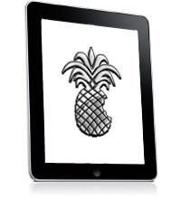 ipad-jailbreak ipad-jailbreak